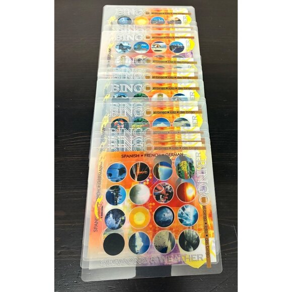 Bilingual Bingo Game Learning Seasons & Weather Vocabulary Spanish French German - Picture 4 of 6